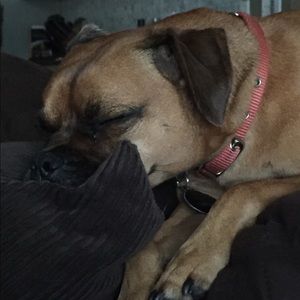 Meet your Posher, Lesley